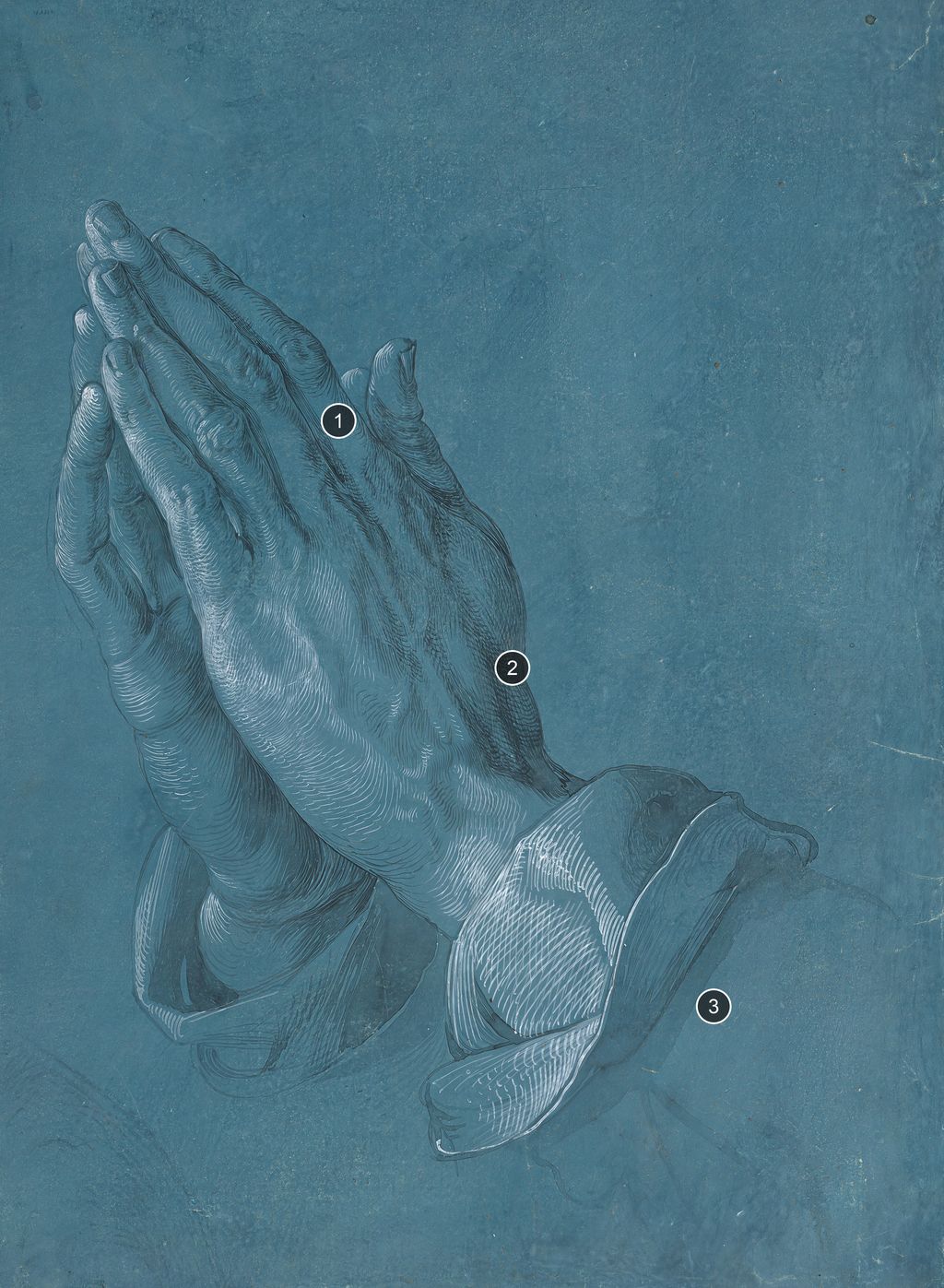 Annotated details from Praying Hands by Albrecht Dürer